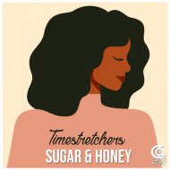 Timestretchers - Haven\'t earned a penny