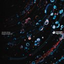 André (ARG) - Conclusions