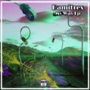Damitrex - Feel the my music (Original Mix)