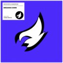 Biggoose & IvanGross - Breaking Down
