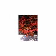Mindfulness Healing Sleep BGM Project - Rectangle and Self-control