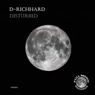 D-Richhard - Disturbed