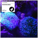 The JacKMan - Distorted Brain