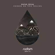 Kintar, Delum - Hooked on this feeling