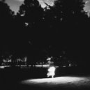 a chorus of whales - White Noise / Black Void
