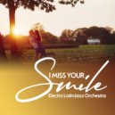 Electro LatinJazz Orchestra - I Miss Your Smile