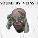 WILOSTEY MUSIC - Sound By Veins (LIVE MIX)