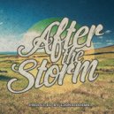 LionRiddims - After the Storm ()