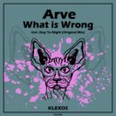 Arve - Stay To Night (Original Mix)