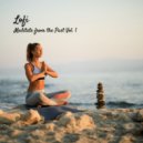 Meditation Music Playlist & Teddie Lofi & Brainwave Samples - Laying On the Grass ()