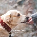Lofi City Colours & Dog Bedtime & Dog Music Therapy - Mystic Lands ()
