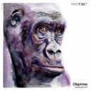 Disprove - Vivid