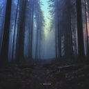 Rah - Wandering Echoes ()