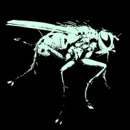 Firefly - Atmospheric Beasts