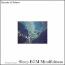Sleep BGM Mindfulness - Refocus Your Energy