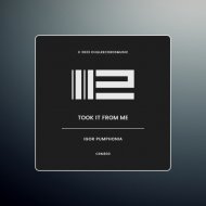 Igor Pumphonia - Took It From Me