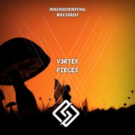 V3RTEX - Pieces