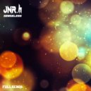 JNR.h - Senseless