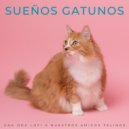 Flor de Loto & Relajación del gato & Gato Relajarse - Mañana Tranquila ()