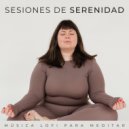 Pensamento Positivo & Maestro zen de meditación & Música de meditación nu - Eco Silencioso