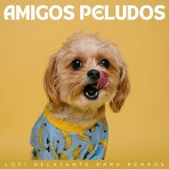 Estado de distracción & Hora de música para perros & Música Chill Out para Perros - Relajante Lugar