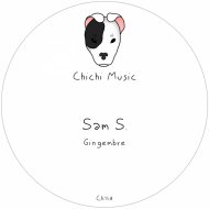 Sam S - Want You Back