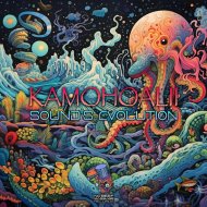 Kamohoalii Vs Pancho - Sound\'s Evolution