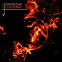 Primestate Project - Transense (Original Mix)