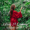 Steven Roys & Silvertone - I Feel It Coming (Original Mix)