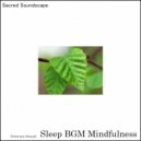 Sleep BGM Mindfulness - Sleepy Soundscapes of the Sea (Original Mix)