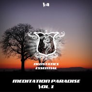 Stereo Flight - Night of Passion