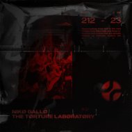 Nikø Gallø - Despair In The Parallel Wørld