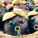Raychel Turrietta - Ultrasonic Desire