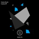 Hannes Bruniic - Cactus
