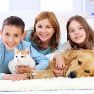 Pet Care Music Therapy & Good Morning Jazz Cafe & ChillHop Cafe - Coffee Shop Jazz for Pet Calm