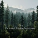 Art Wiz - The Birchwood Waltz