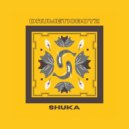 Drumetic Boyz - Shuka (Original Mix)