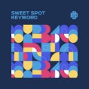 SWEET SPOT - Keyword (Original Mix)