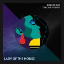Cozmic Cat - Take Me Higher (Original Mix)