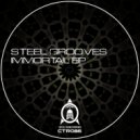 Steel Grooves - Immortal (Original Mix)