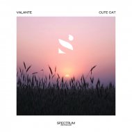 Valante - Cute Cat