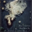 SounEmot State (DJ) - Because Emotions Must Never Die Vol 2 (Mixed by JRGC)