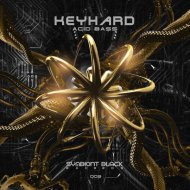 Keyhard - Acid bass