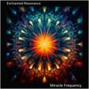 Miracle Frequency - Elevation Journey ()