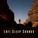 Lo-Fi for Sleeping & Sleepy Times & Sleep Music Guys - Lofi Reverie Soundscapes ()