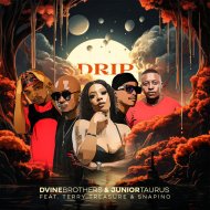 Dvine Brothers & Junior Taurus feat Terry Treasure & Snapino - Drip