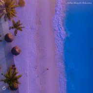 Miethe - Catchy & True