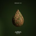 Non Grata (GR), Atencio (GR) - Masai (Original Mix)