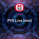 PVS - PVS Live (mix)