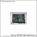 Sleep BGM Mindfulness - Unity Wholeness (Original Mix)
